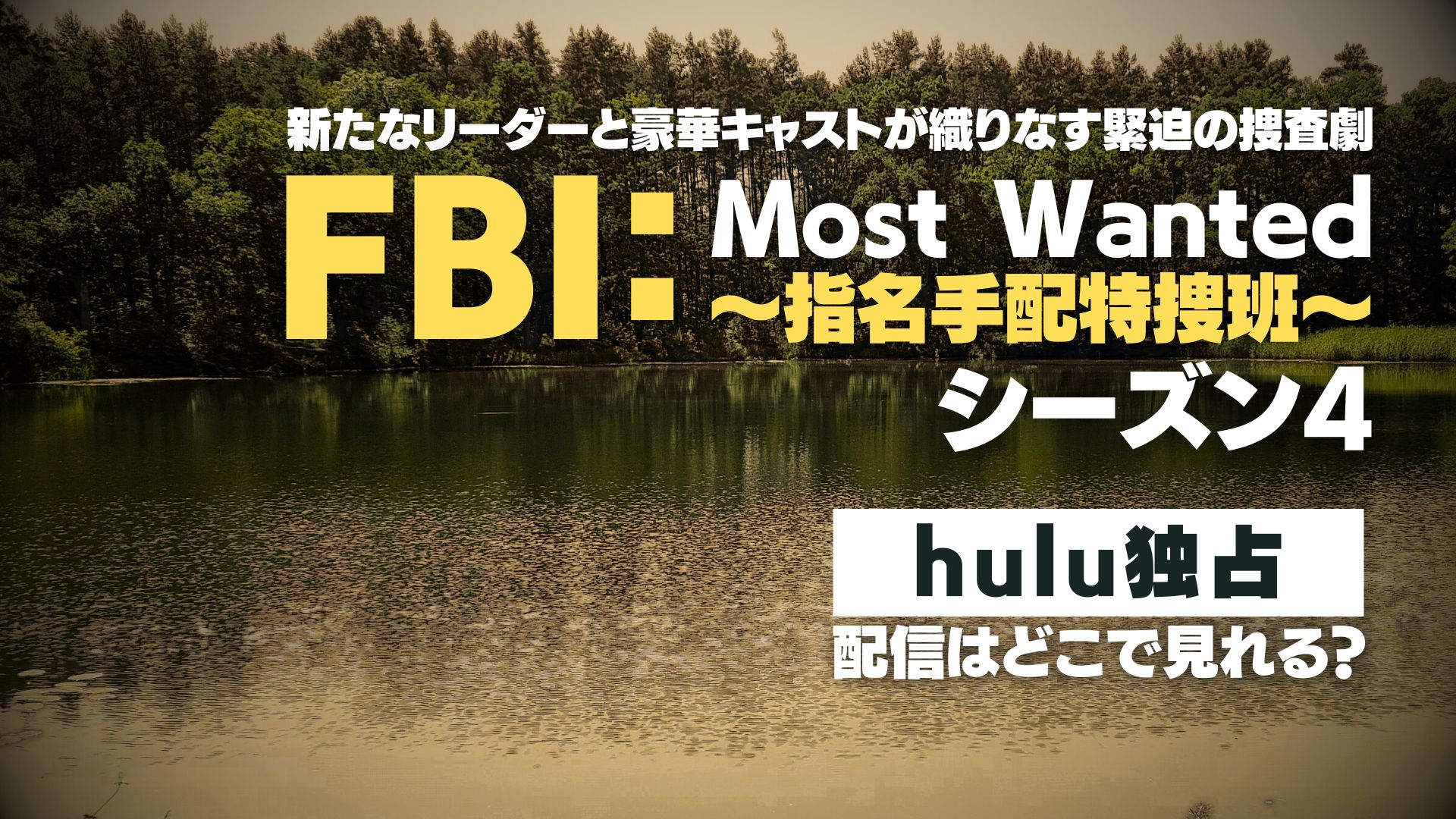 ドラマ『FBI：Most Wanted ～指名手配特捜班～ シーズン4』配信どこで見れる？ Hulu見放題独占配信