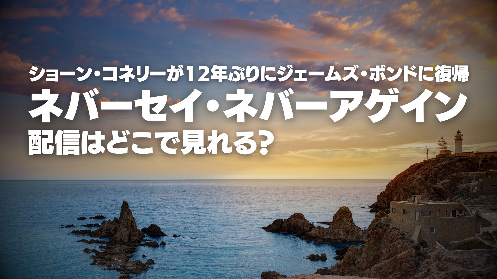 映画『ネバーセイ・ネバーアイン』配信どこで見れる？