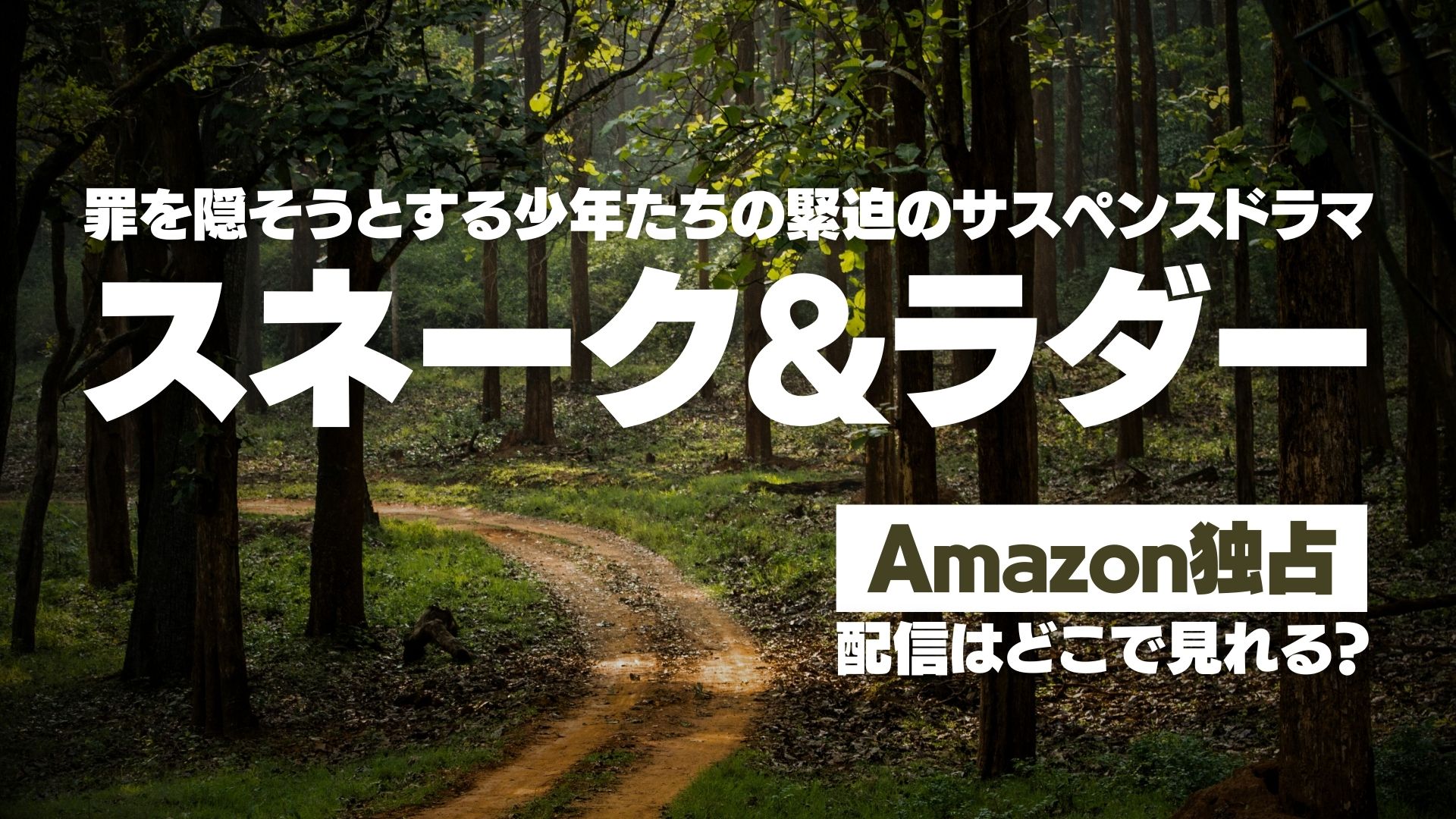 ドラマ『スネーク&ラダー』配信どこで見れる？ Amazon独占配信