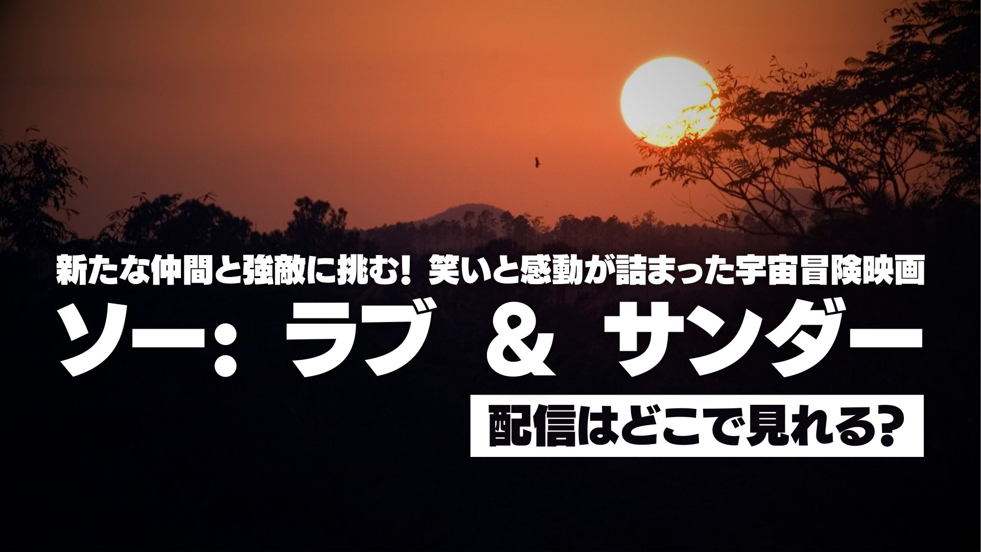 映画『ソー: ラブ ＆ サンダー』配信どこで見れる？