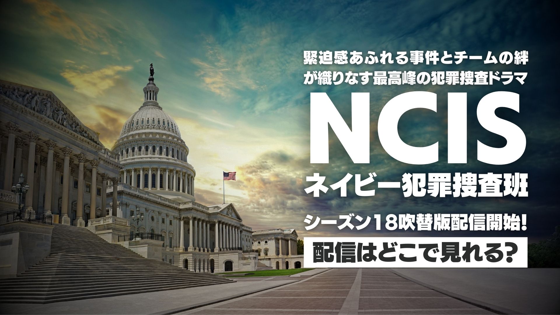 ドラマ『NCIS ～ネイビー犯罪捜査班』シーズン18（吹替版）の配信はいつからどこで見れる？