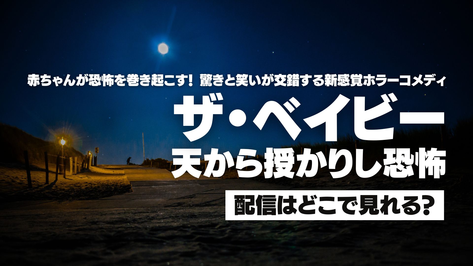 ドラマ『ザ・ベイビー / 天から授かりし恐怖』配信どこで見れる？