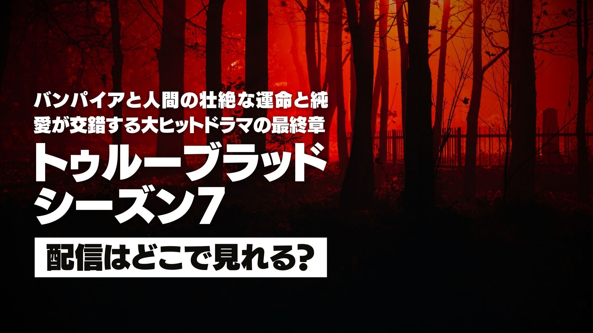 ドラマ『トゥルーブラッド シーズン７』配信どこで見れる？