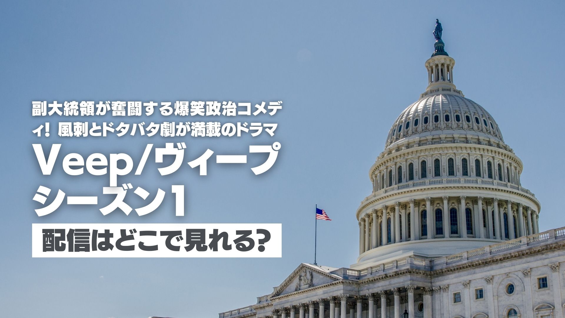 ドラマ『Veep/ヴィープ　シーズン１』配信どこで見れる？