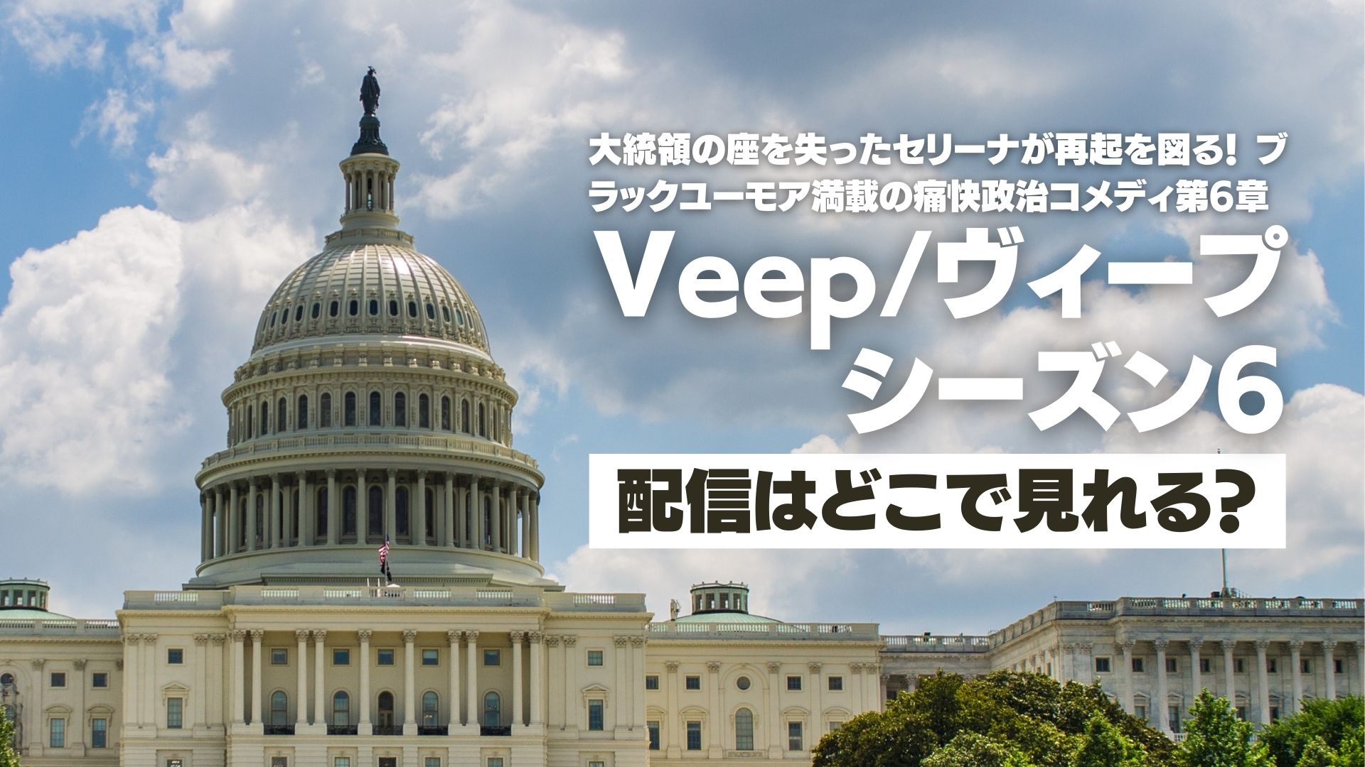 ドラマ『Veep/ヴィープ　シーズン６』配信どこで見れる？