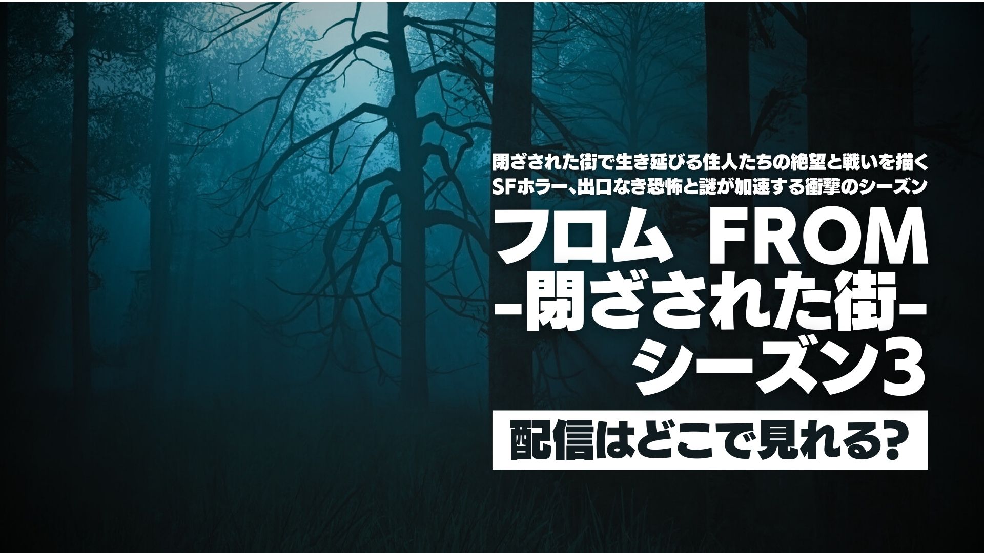 ドラマ『フロム -閉ざされた街- シーズン３』どこで見れる？