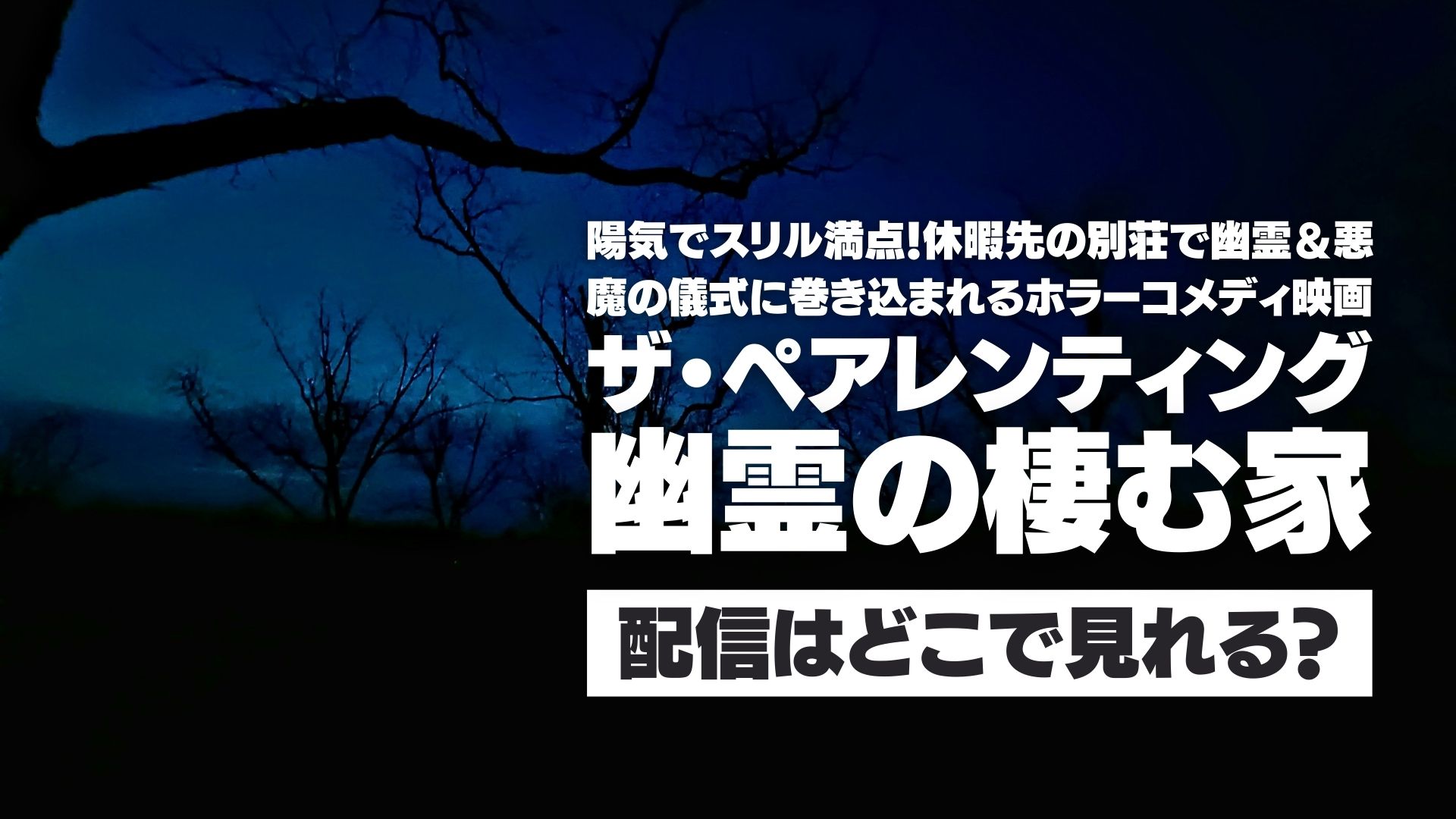 映画『ザ・ペアレンティング / 幽霊の棲む家』配信どこで見れる？