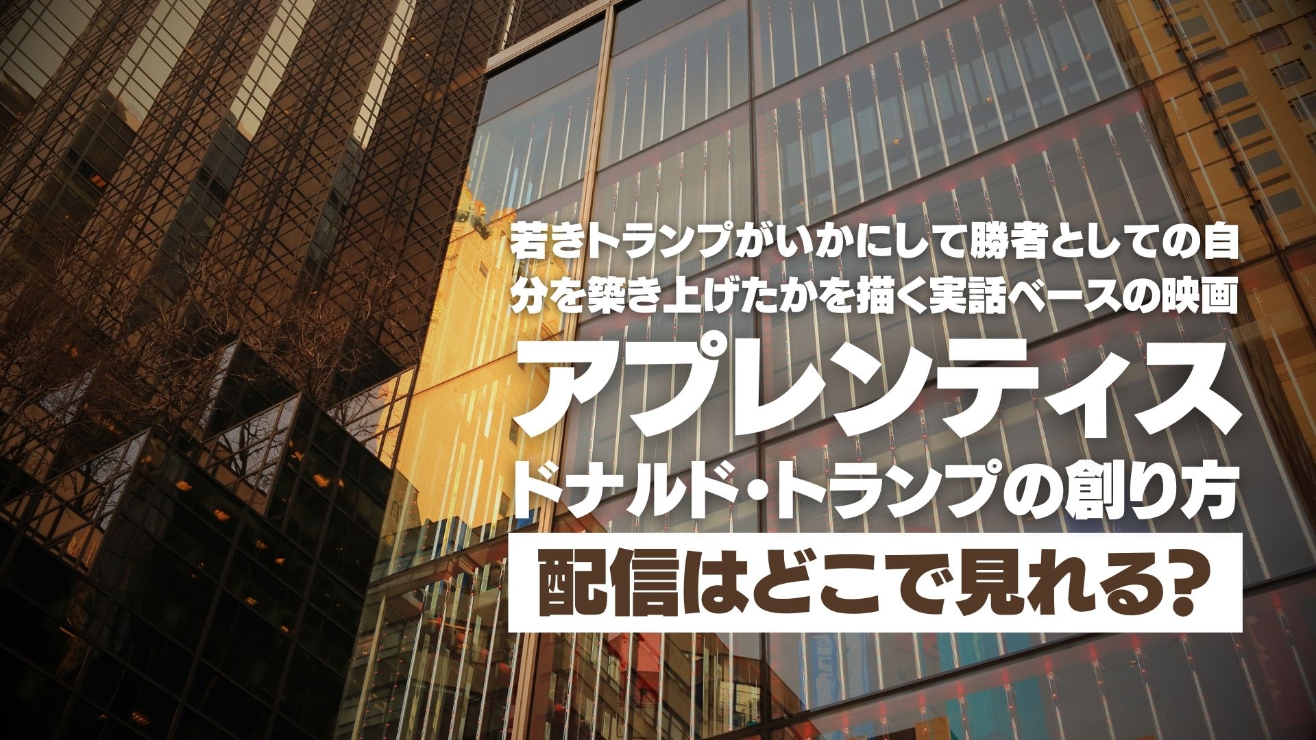 映画『アプレンティス：ドナルド・トランプの創り方』配信どこで見れる？