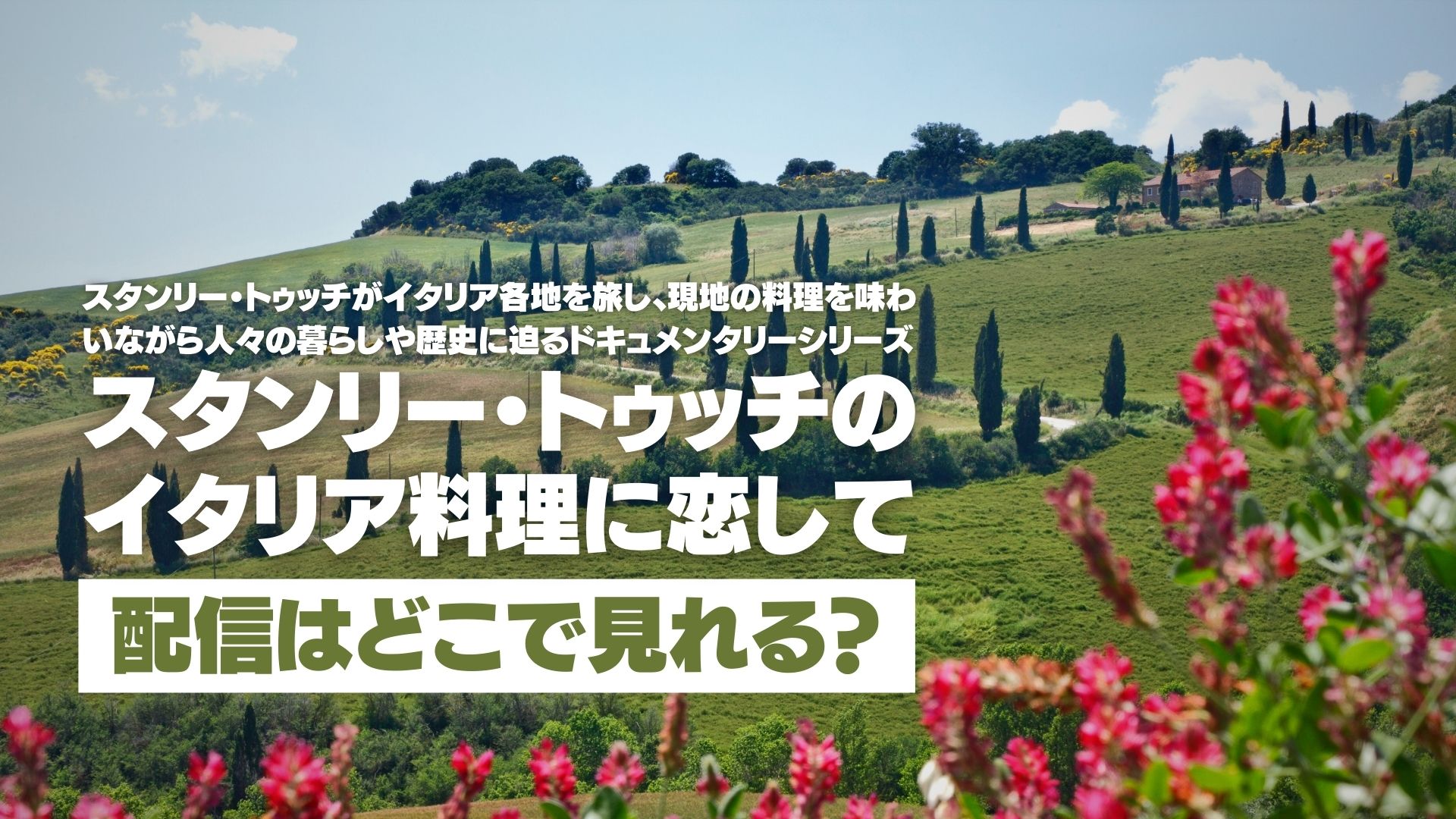 ドキュメンタリー『スタンリー・トゥッチのイタリア料理に恋して』配信どこで見れる？