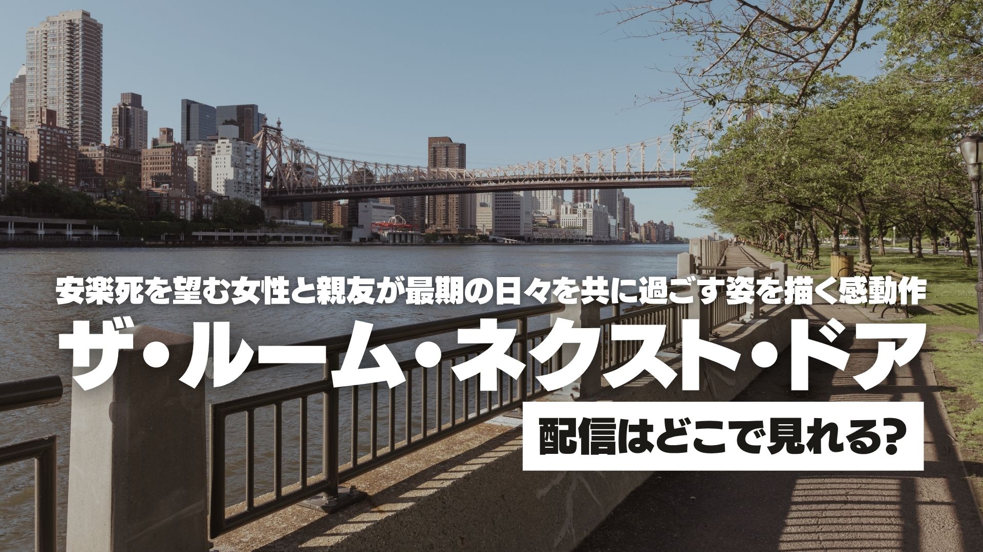 映画『ザ・ルーム・ネクスト・ドア』配信どこで見れる？