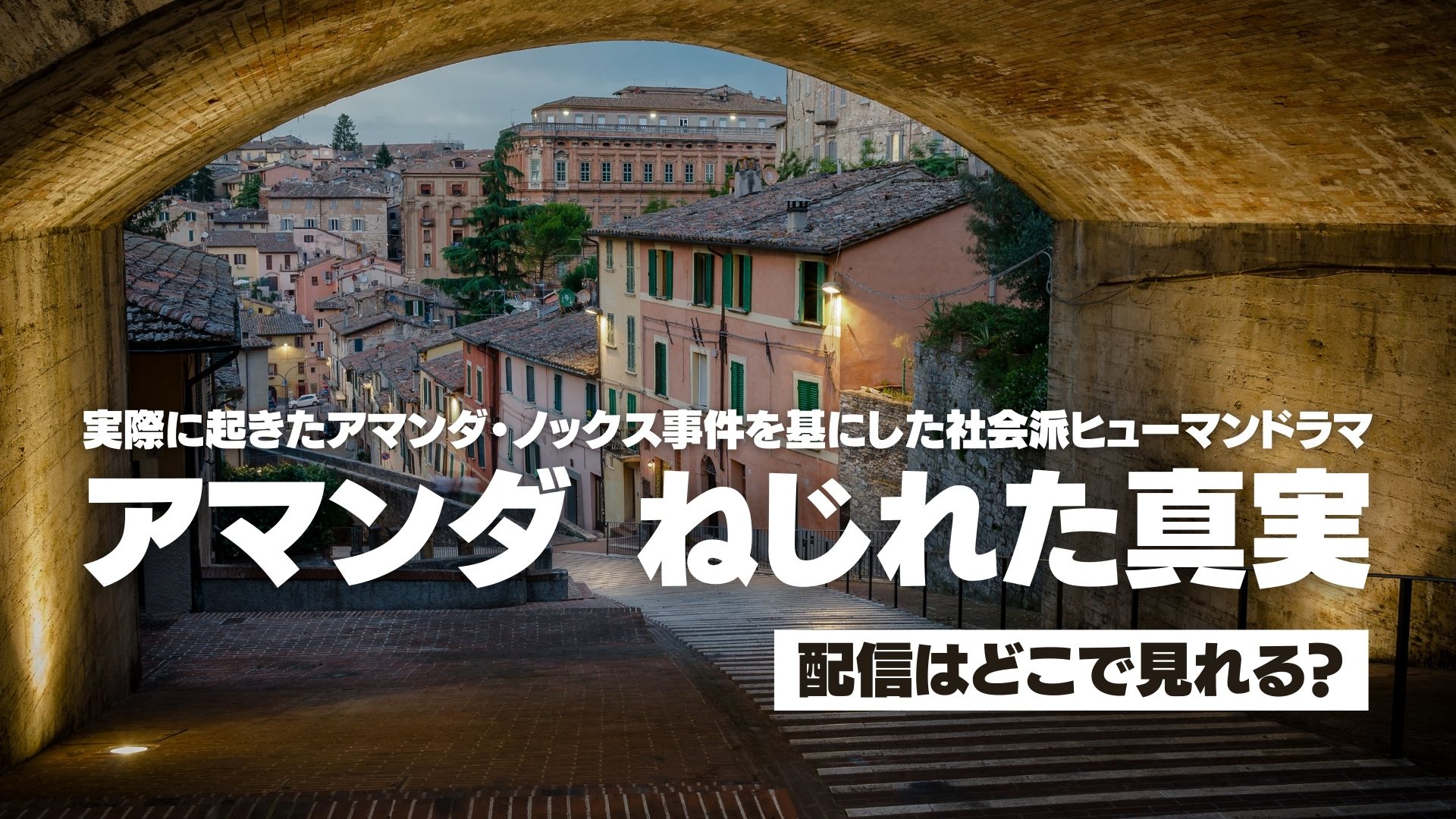 ドラマ『アマンダ ねじれた真実』配信どこで見れる？