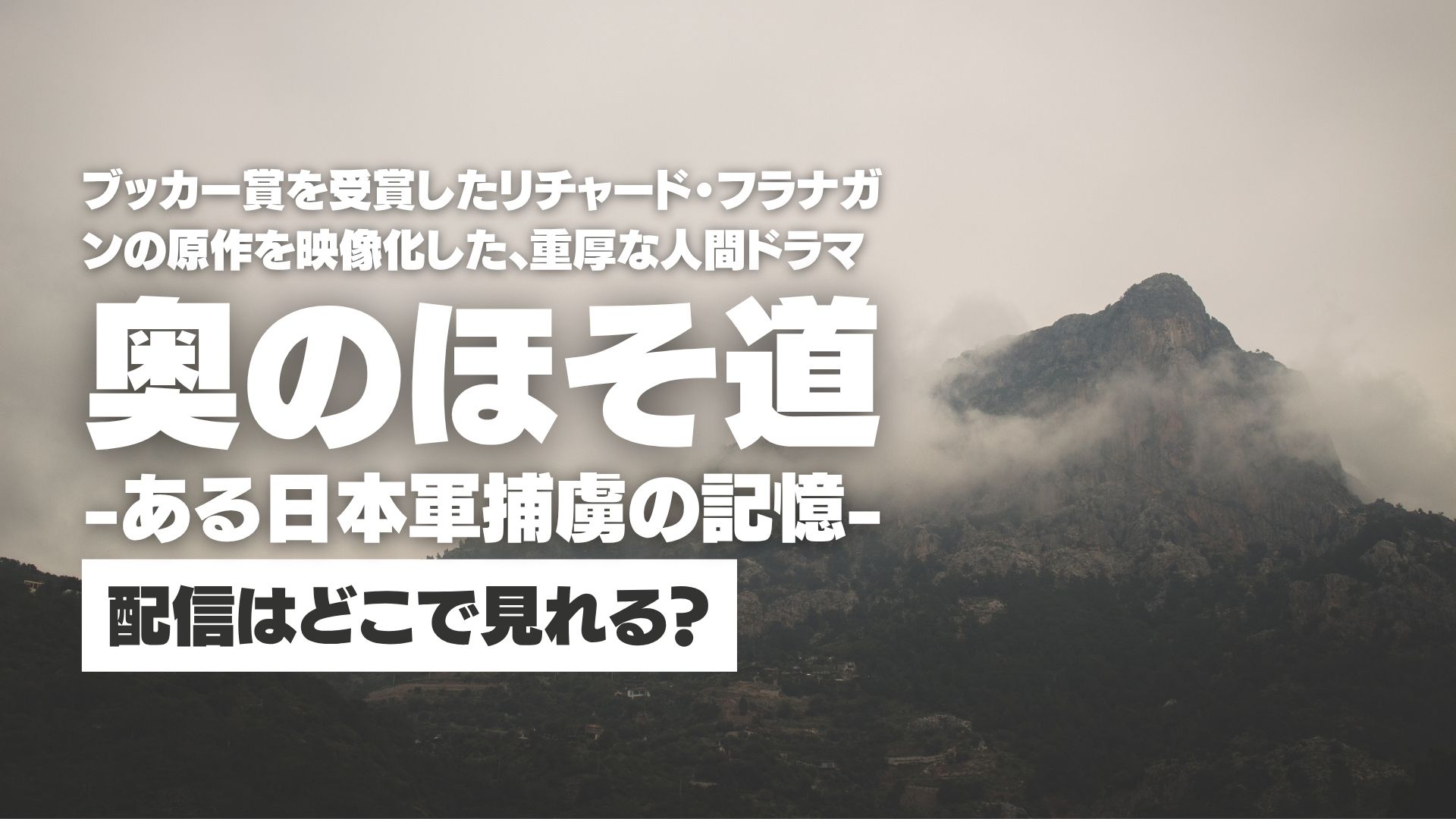 ドラマ『奥のほそ道 -ある日本軍捕虜の記憶-』配信どこで見れる？