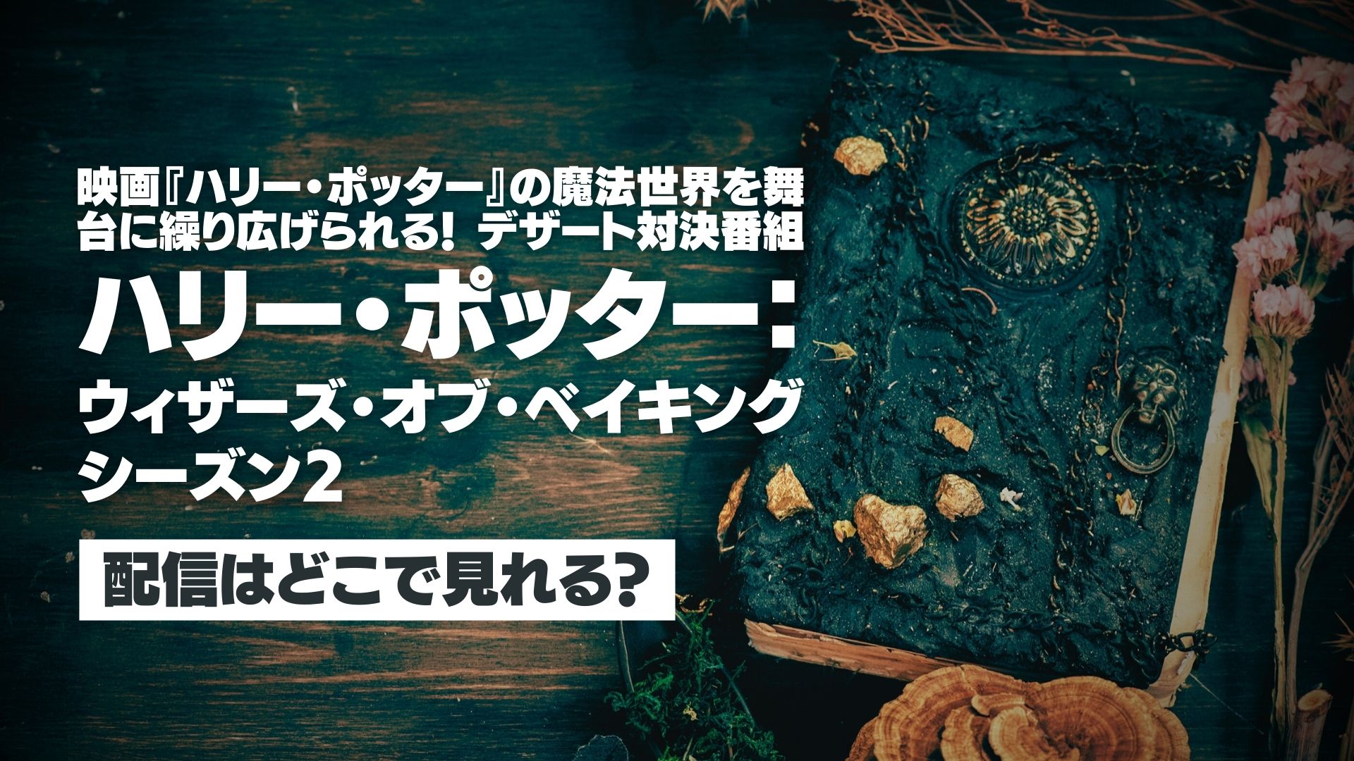 『ハリー・ポッター：ウィザーズ・オブ・ベイキング シーズン２』配信どこで見れる？