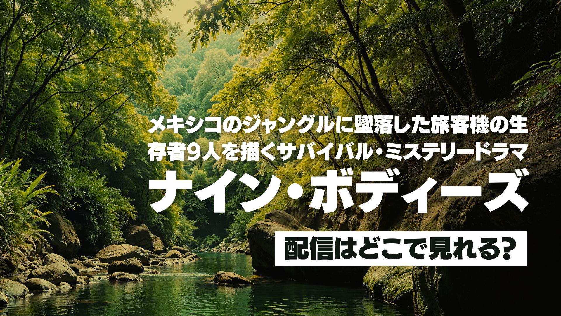ドラマ『ナイン・ボディーズ』の配信はどこで見れる？