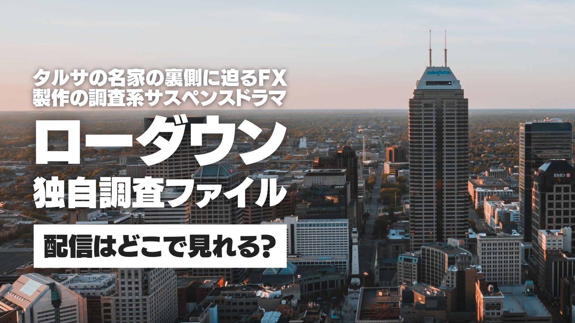 ドラマ『ローダウン 独自調査ファイル』配信どこで見れる？