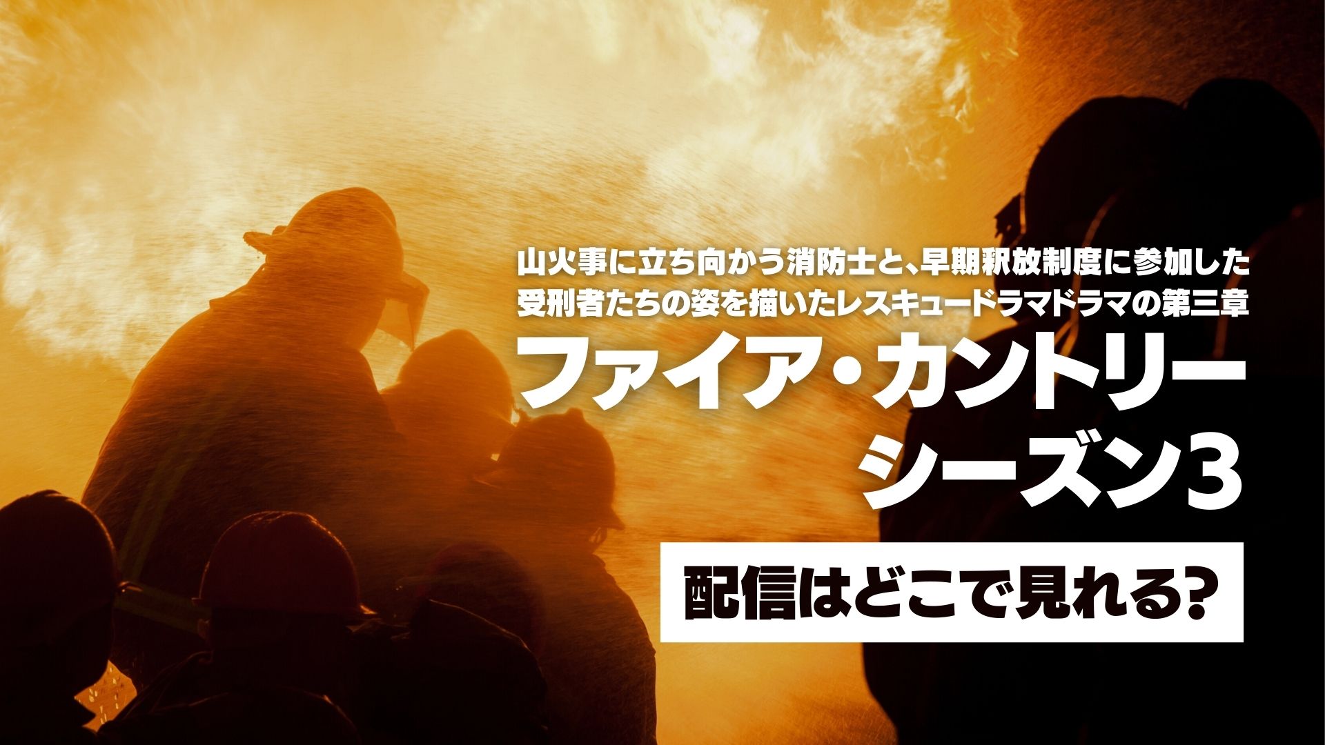 ドラマ『ファイア・カントリー シーズン３』配信どこで見れる？